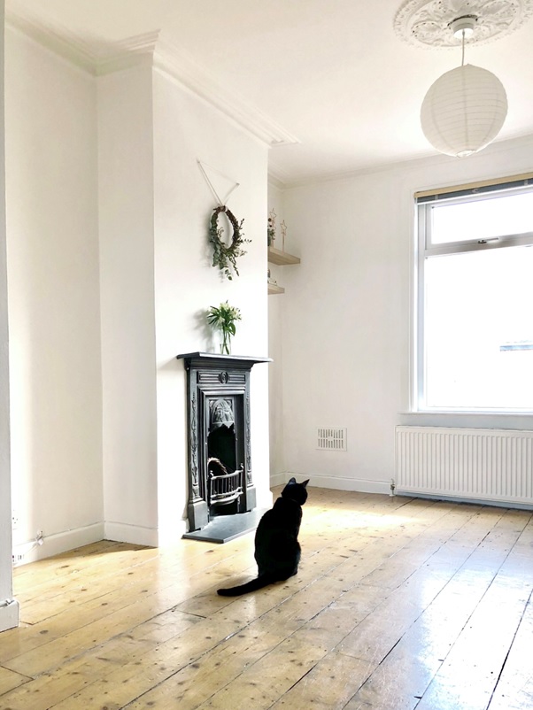 A cat sitting in an empty room